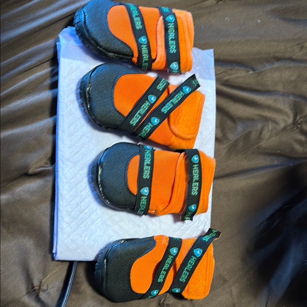 Herblens Orange and Black Pet Boots